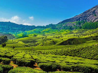 Best luxury resorts in munnar