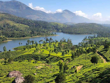 Best luxury resorts in munnar