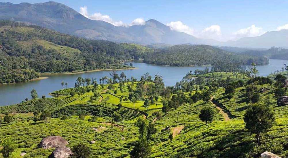 Tourist places in Munnar