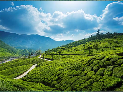 Munnar Tour Package