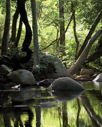 Chinnar Wildlife Sanctuary