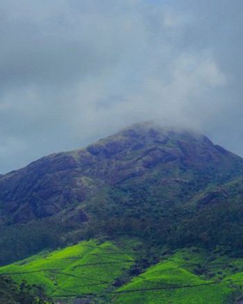 Mountain view Munnar